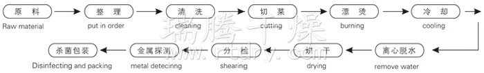 脫水蔬菜帶式干燥工藝流程